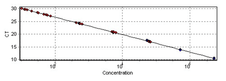 熱啟動聚合酶(hotstart taq polymerase)標準曲線圖