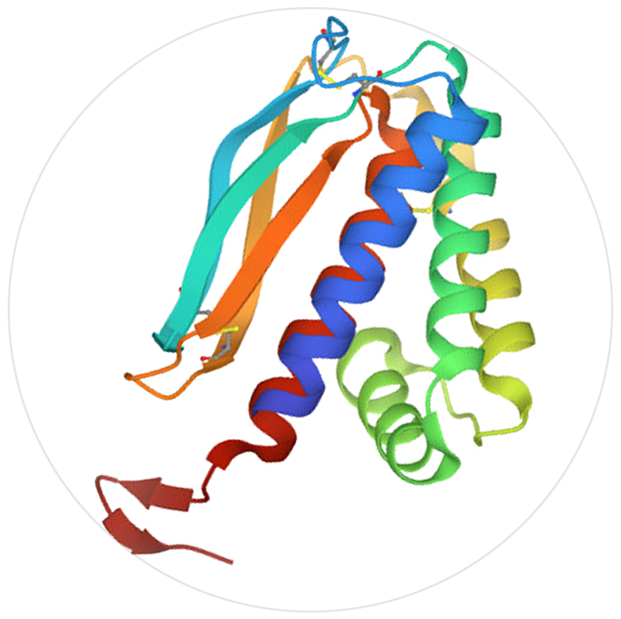 猴痘抗原A29L、A35R、B6R、M1R介紹