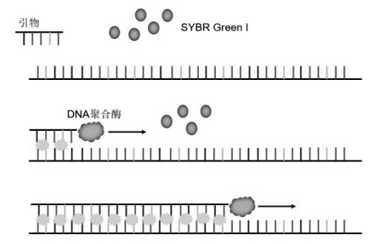 染料法發(fā)光原理