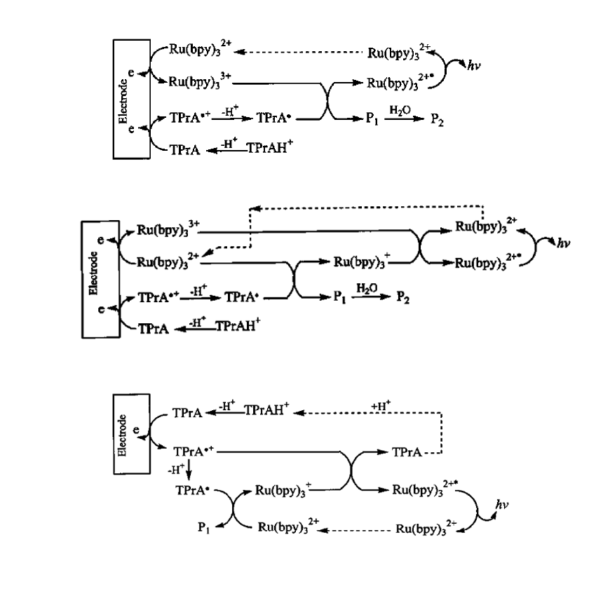 還原氧化型ECL的三種反應(yīng)過程 還原氧化型ECL的三種反應(yīng)過程
