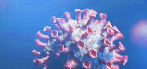 HBP高親和兔單抗，助力IVD備戰(zhàn)COVID-19重癥高峰