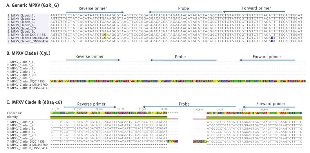 MPXV特異性引物擴增結(jié)果